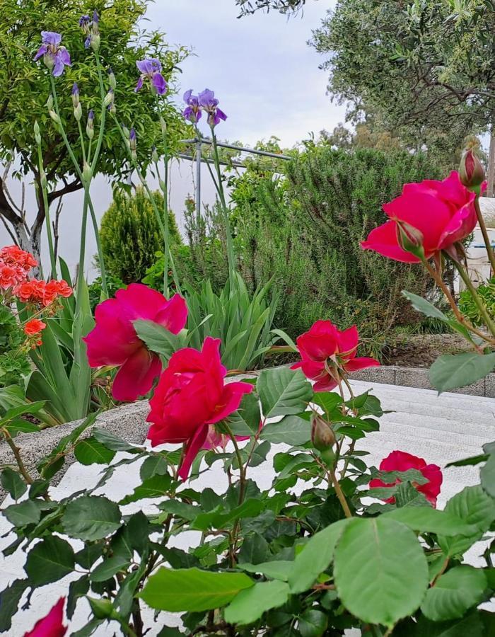 Villa Arhondia House Ierápetra Exterior foto