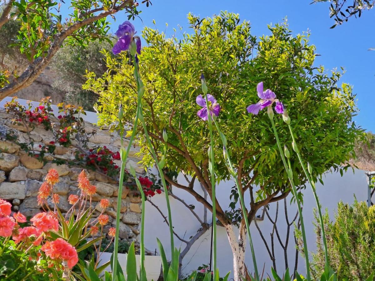 Villa Arhondia House Ierápetra Exterior foto